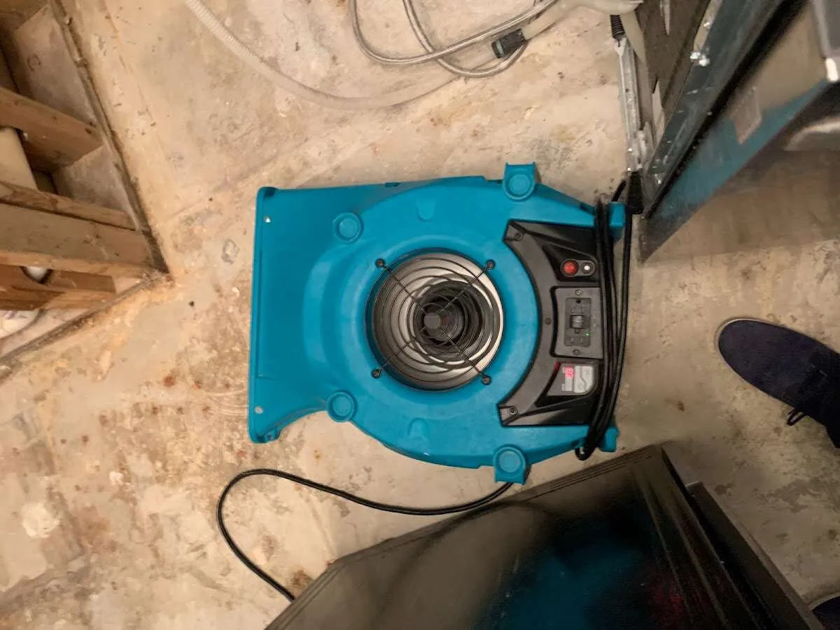 Air mover drying equipment for Mold Remediation & Removal in Lake Mathews